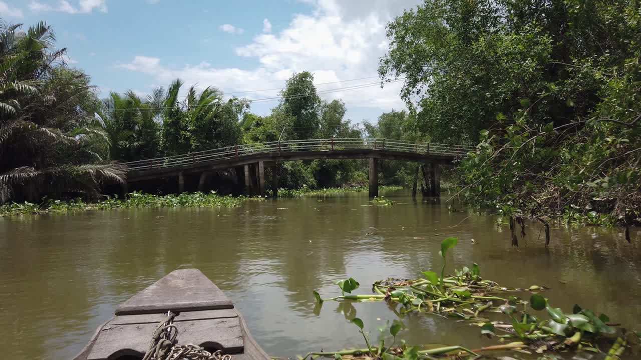 Scenic Boat Ride Through a Lush Tropical River Under a Bridge