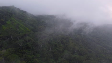 Una-Montaña-Boscosa-Brumosa-Envuelta-En-Una-Niebla-Etérea,-Un-Paisaje-Natural-Místico