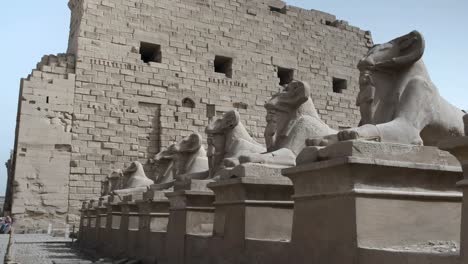 stock video templo de karnak en luxor, egipto