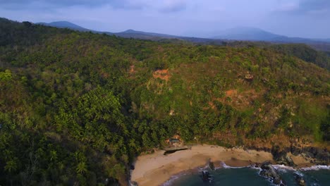 tropical beach in a lush jungle setting