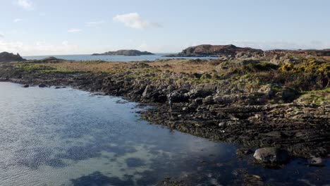 AERIAL---A-person-and-their-dog-on-a-rocky-beach,-Isle-of-Gigha,-Kintyre,-Scotland