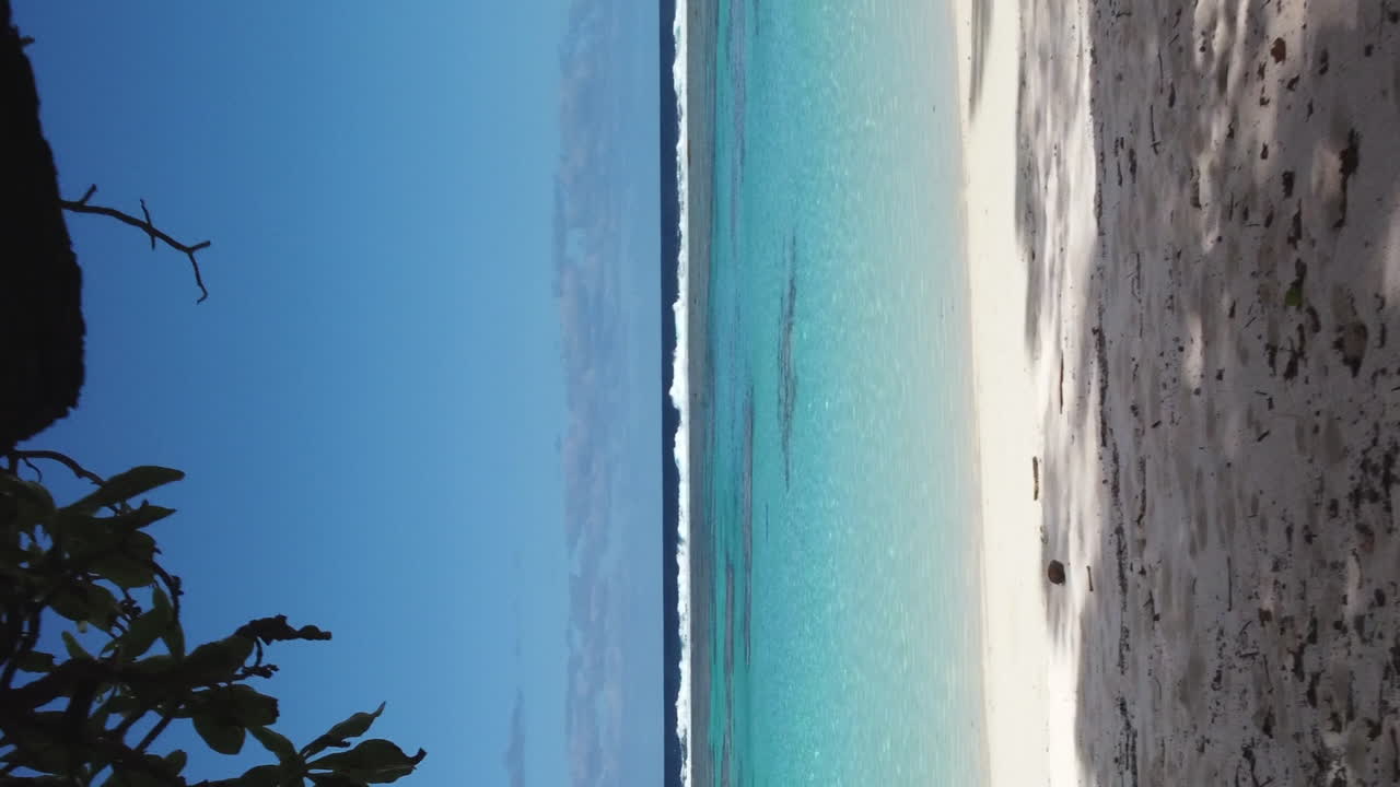 Carrellata verticale oltre un albero verso l'Oceano Pacifico, Yejele Beach, Isola di Maré