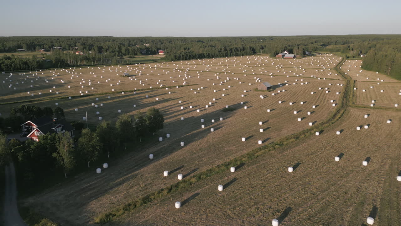 Nordic farm house with fields of plastic-coated hay bales in summer. Aerial