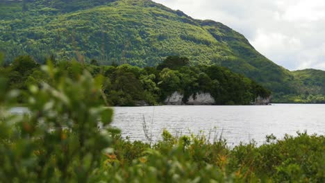 Hermoso-Y-Vibrante-Paisaje-Irlandés-Lleno-De-Vegetación-Y-Agua