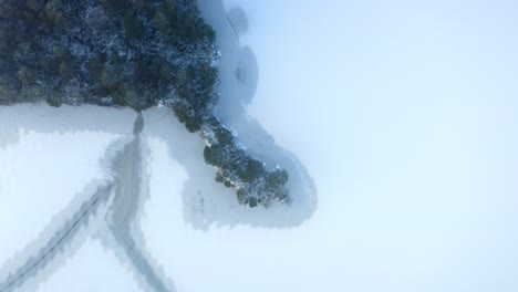 top down forward moving aerial view over small forest islet surrounded by frozen lake with natural line patterns on ice