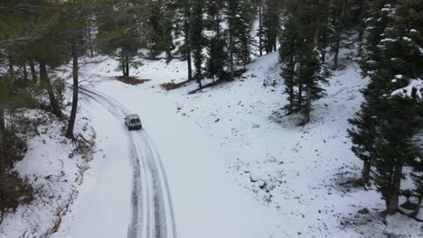 Conducción-De-Automóviles-En-Un-Camino-Forestal-Nevado