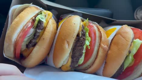 in-n-out burgers and fries