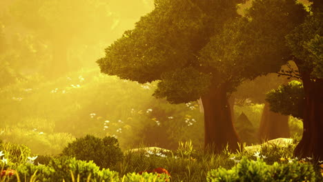 cartoon wooded forest trees backlit by golden sunlight