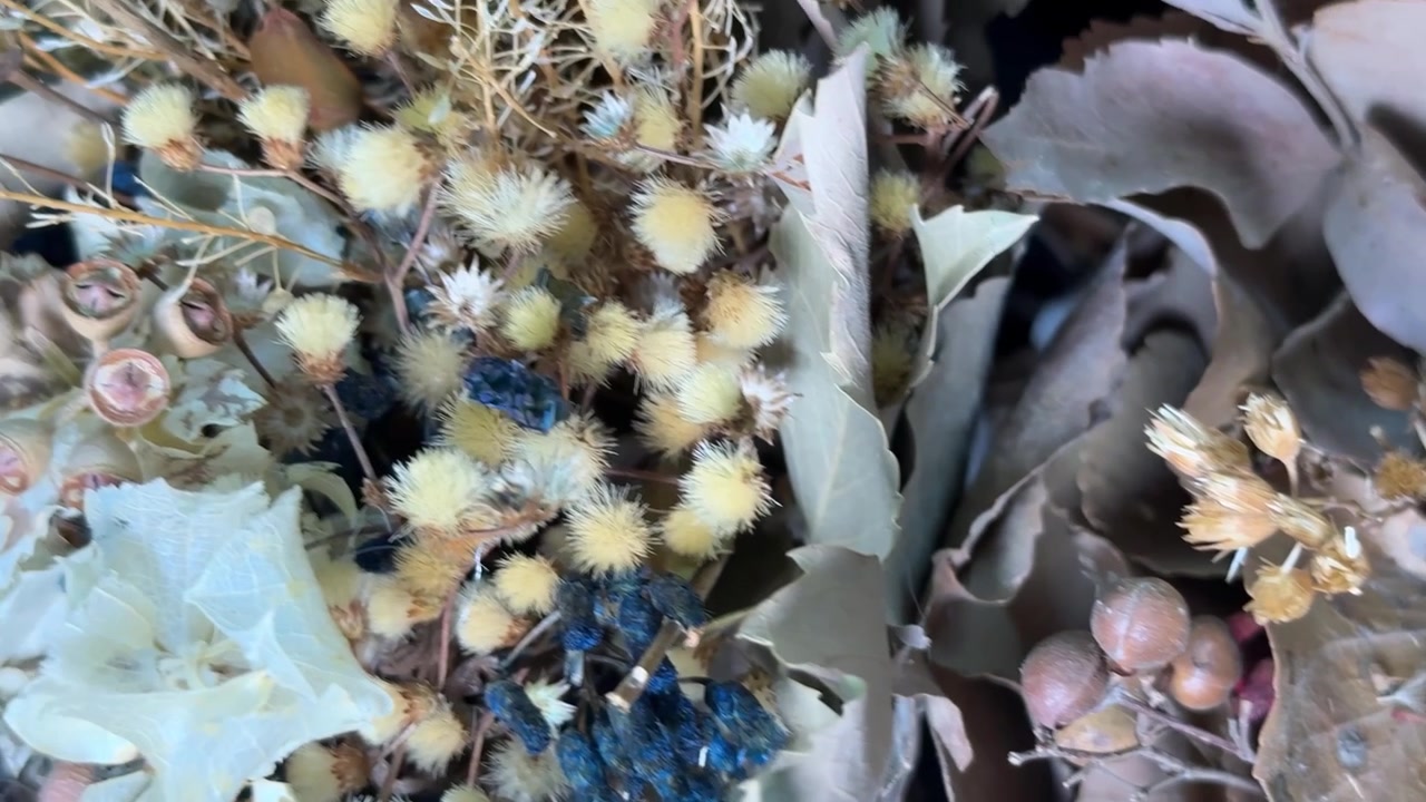 Panoramica ravvicinata di una composizione floreale rustica essiccata con elementi botanici