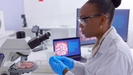 medical, microscope and laptop with black woman