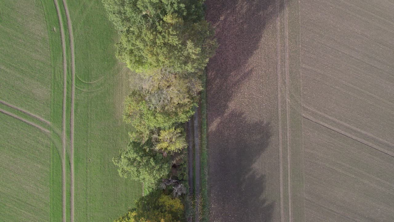 독일 브란덴부르크에 있는 우에츠(uetz)라는 곳에서 찍은 시골길과 나무의 탑 오름차순 드론 영상