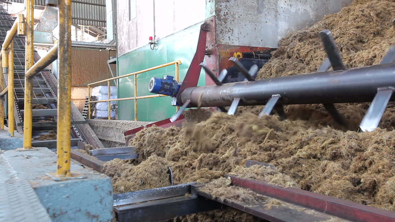 procesamiento de máquinas de producción y producción de aceite de palma en una enorme fábrica en malasia