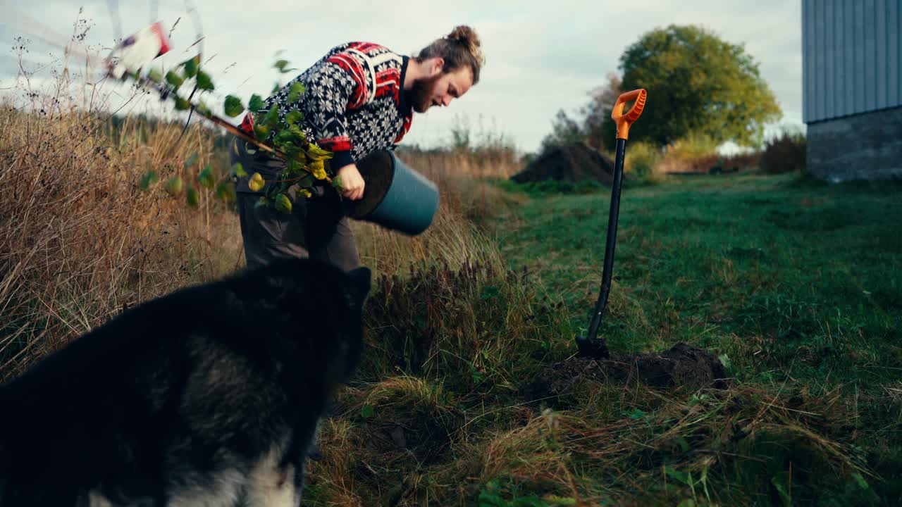 Giardiniere al lavoro che rimuove un piccolo albero da un vaso nella fattoria con un cane domestico che osserva
