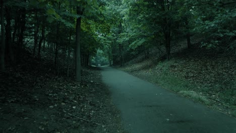 Bearbeitung-Im-Ozark-Stil-über-Einem-Nebligen-Waldweg