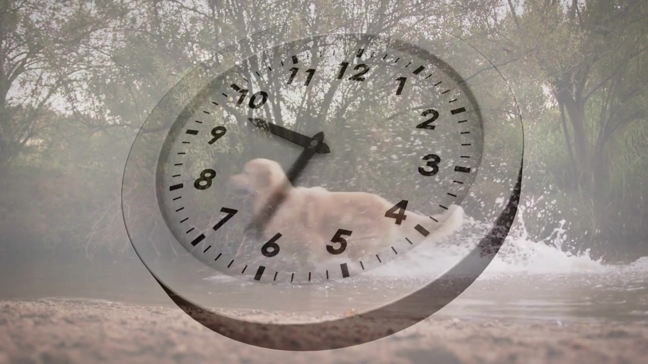 Overlay jam samar mulai berputar, anjing memercik melalui overlay, menunjukkan waktu untuk pemasaran.