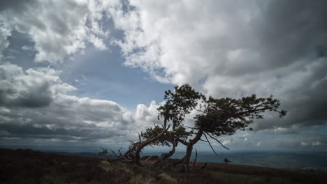 cloud time lapse in the pilat regional natural park in france