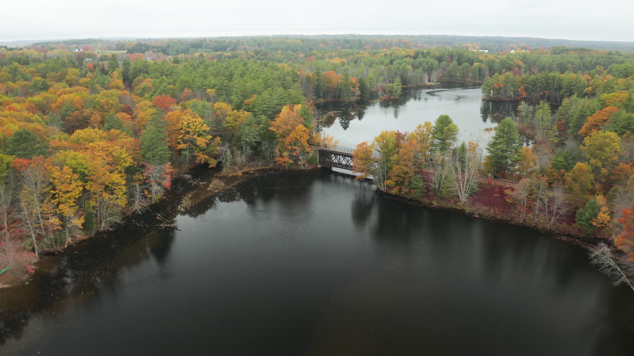 다채로운 가을 삼림 지대에서 조용한 강을 건너는 다리를 향해 비행