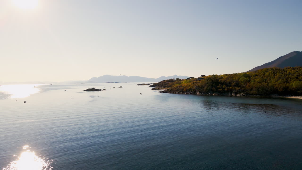 Drone flight on Senja Island during sunset, herons gliding through air