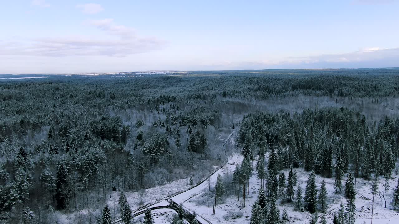 Vista aérea del bosque nevado