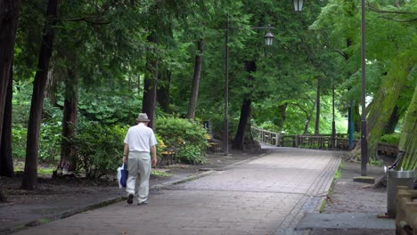 在東京的夏日公園 (shakuji park),一個年長的男人在美麗的樹木的陰影下散步