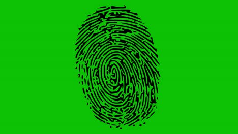 various fingerprints running on green screen