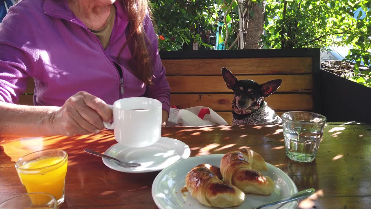 A Lady drinks coffee in outdoors restaurant with croissants, dog, pet, Mini Pinscher companion, Parisian style