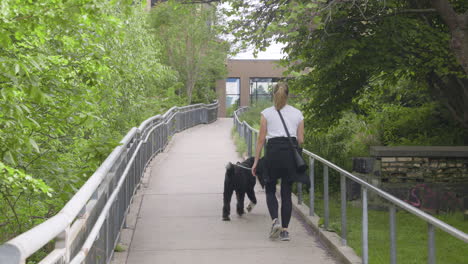 woman walking her dog down a quiet path in a downtown urban environment