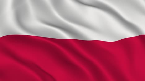 polish flag seamless smooth waving animation. wonderful flag of poland with folds. symbol of the republic of poland