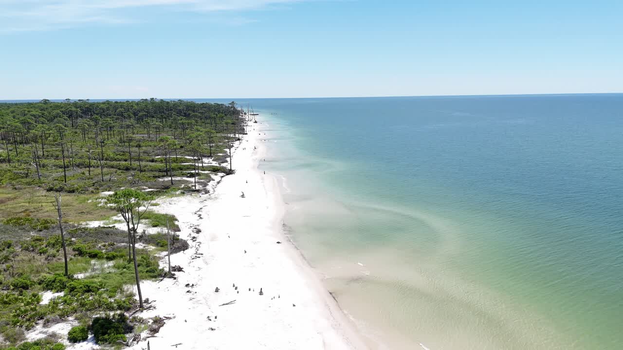 Aerial orbit over long sandy beach with scattered wooded logs and green forest backdrop, Cape San Blas, Gulf County, Florida, USA