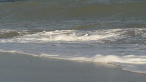 wave of the sea on the sand beach