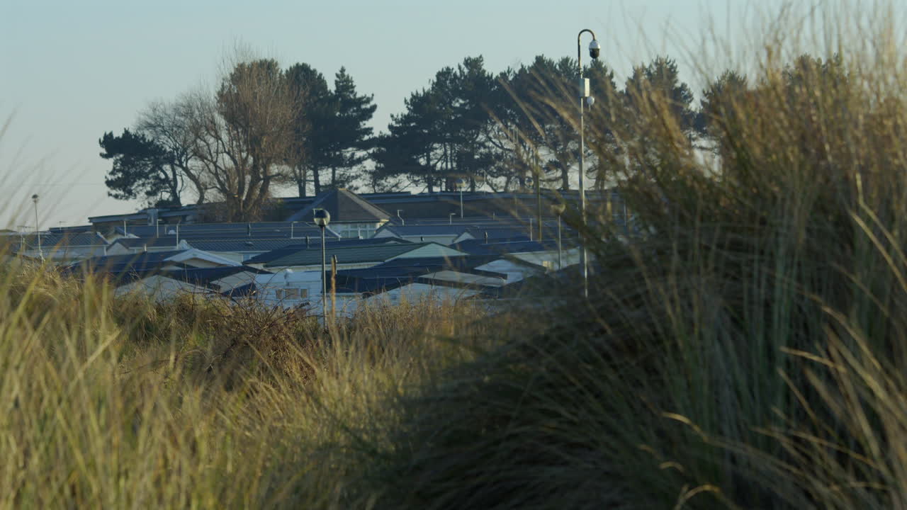 looking through sands dunes and marram grass with trees on a hill in background