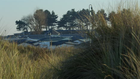looking through sands dunes and marram grass with trees on a hill in background