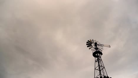 decorative weather vane with propeller