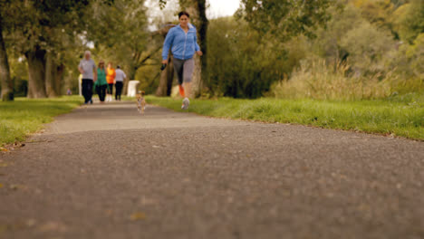 pretty brunette jogging in park with dog