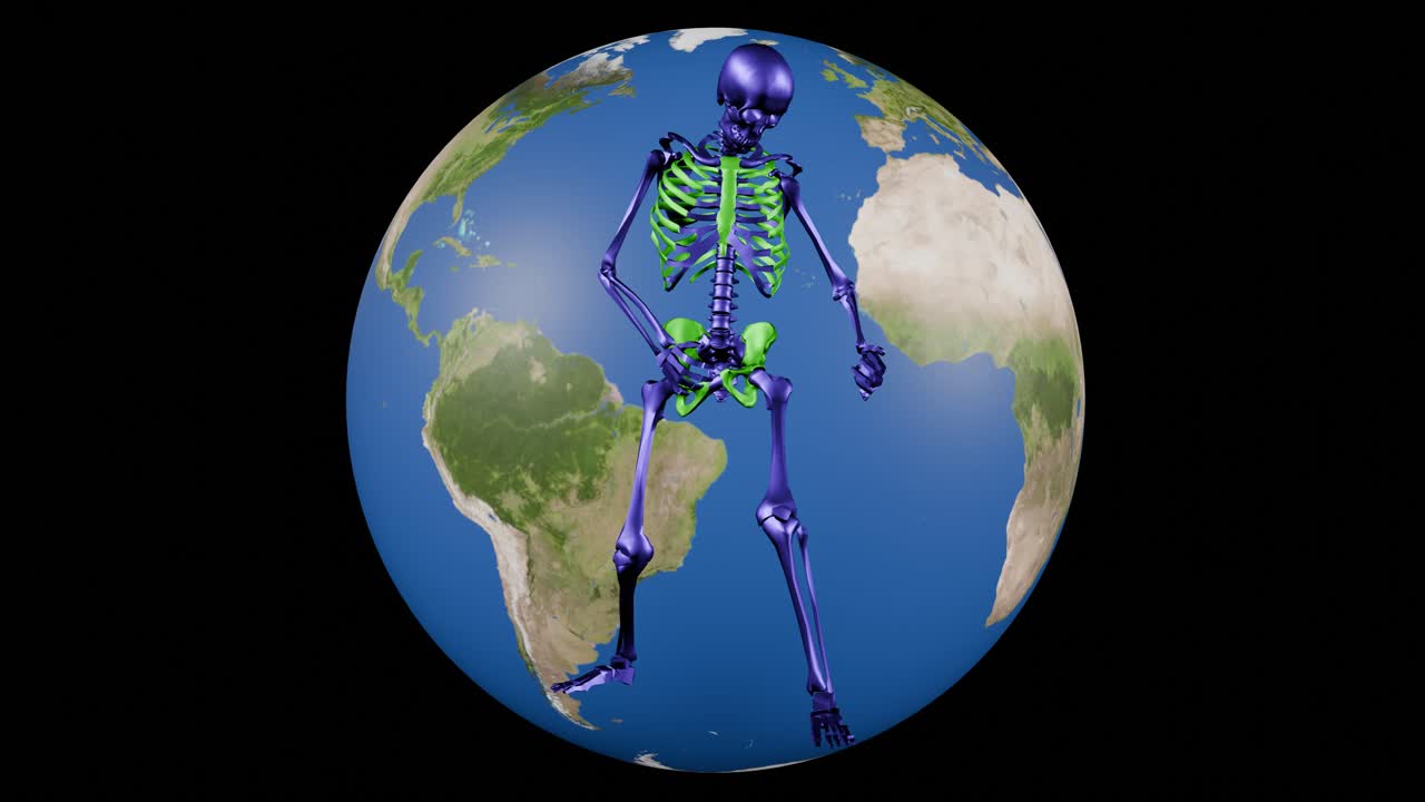 기타 연주 스레 - 글로브