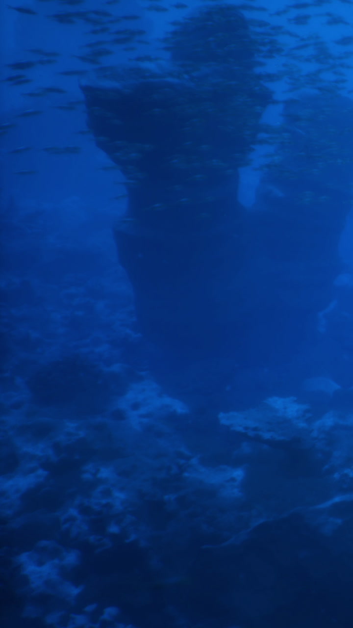 Underwater exploration reveals mysterious underwater structure and sea life
