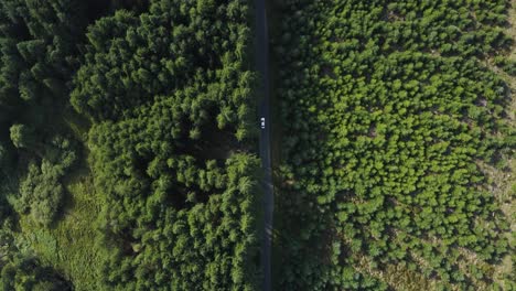 Top-view-of-a-white-car-riding-along-a-curvy-road-in-a-green-forest-along-the-Wicklow-mountains-1