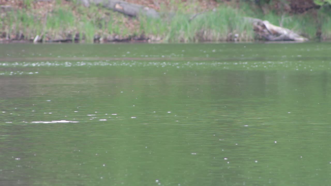 Flowting water on a river
