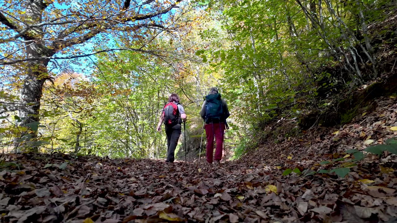 Wanderszene im Wald von Tabayon del Mongayu, einem Wasserfall im Naturpark Redes (Asturien-Spanien).Mongayu14