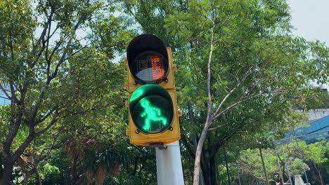 animación verde de la persona que camina en el semáforo con temporizador de cuenta regresiva en la ciudad de méxico