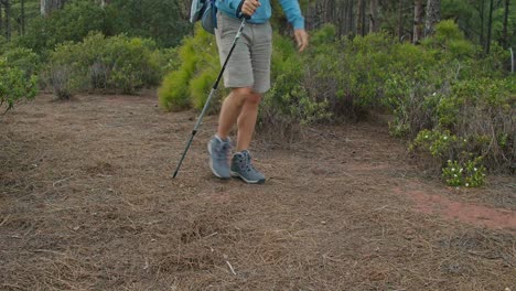 Male-hiker-walking-in-forest