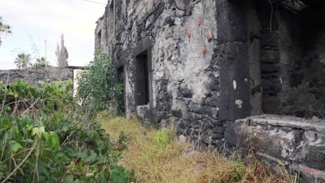 abandoned stone building with vegetation