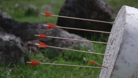 primer plano de un objetivo de tiro con arco medieval golpeado por flechas durante un evento de recreación