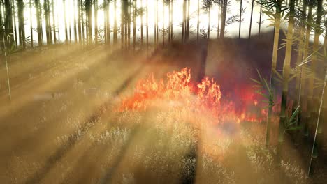 wind blowing on a flaming bamboo trees during a forest fire