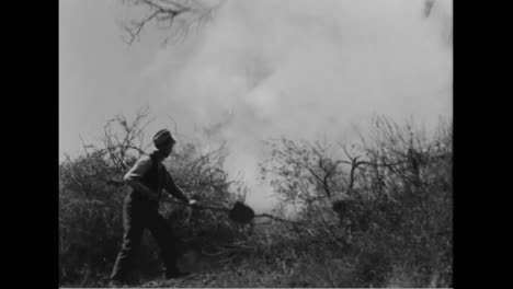 66-People-Burn-To-Death-From-A-Forest-Fire-In-Los-Angeles-In-1933