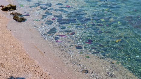 ocean ripple wave with the nature reflections with 4k resolution.