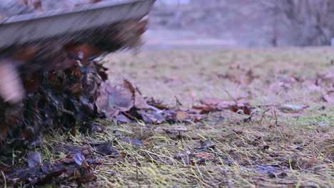 The-Rustle-of-Fall:-A-Leaf-Raking-Afternoon