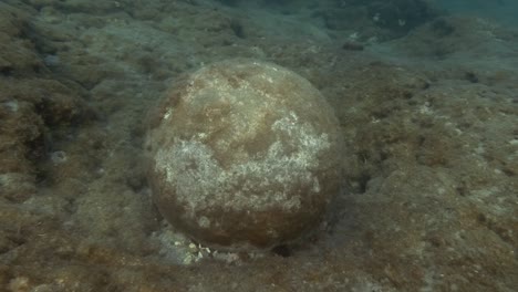 stone cannonball at the bottom of the mediterranean sea, rhodes island, greece