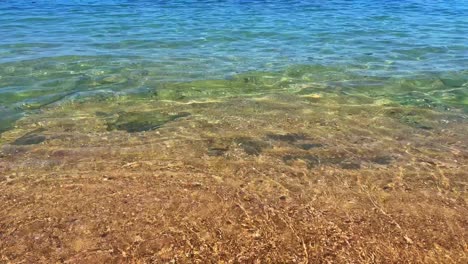 crystal clear water in the red sea, sharm el sheikh, egypt