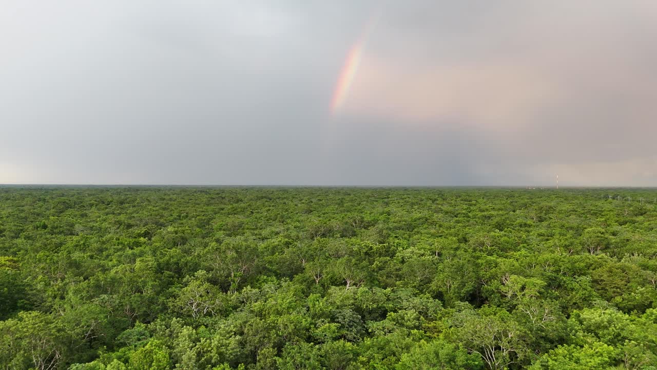 Rainbow at sunset over the dense jungle